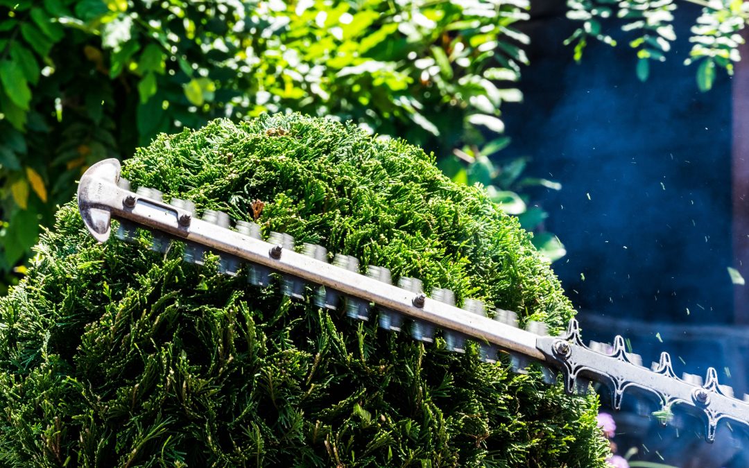 Do Neural Networks Really Need to Be So Big?